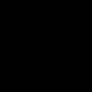 Meet your Posher, Arianna